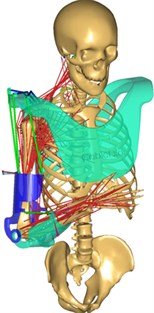 20121120_exoskelet